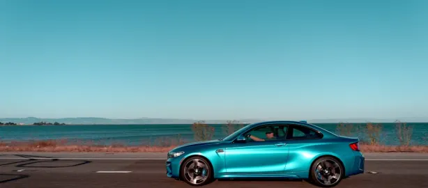 Casino Lion Slots Android/iOS App